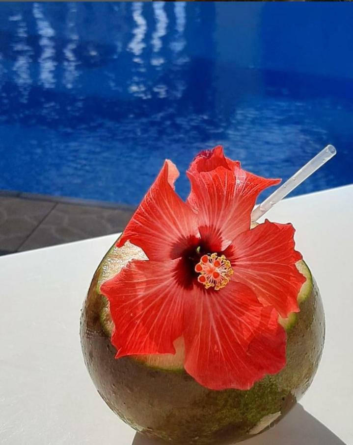 Pousada Florais Do Atlantico Estância Εξωτερικό φωτογραφία
